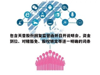 包含天普股份回复监管函并召开说明会，资金到位、对赌豁免、股权锁定等逐一明确的词条