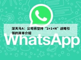 深天马A：公司将坚持“2+1+N”战略引领的简单介绍