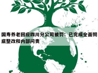国寿养老回应四川分公司被罚：已完成全面彻底整改和内部问责